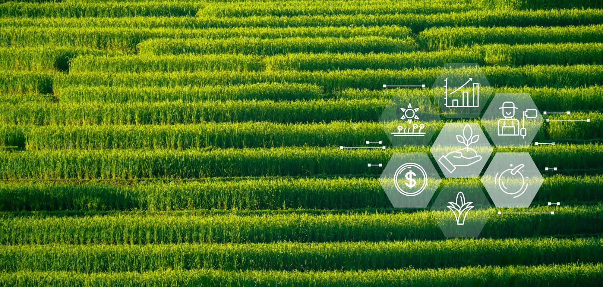 5e EDITION MISSION AGRICULTURE AGROALIMENTAIRE EN TURQUIE Du 3 au 7 Mai 2026 SENEGAL